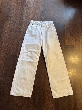 Agolde Low Slung Baggy Jean